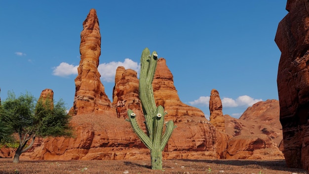 A cactus is in front of a large rock formation