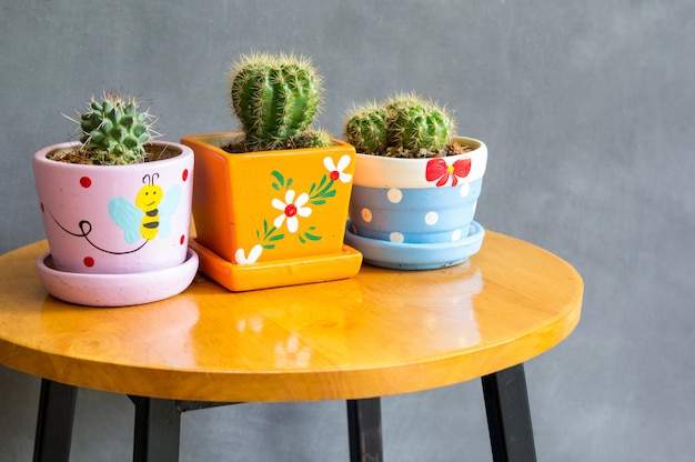 Cactus plant in pots decoration on the table