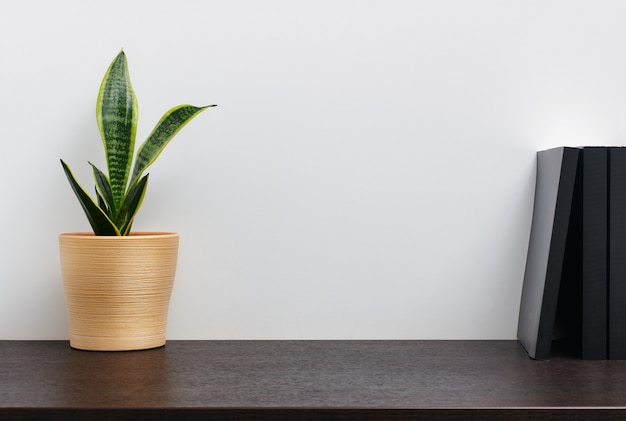 Cactus in a yellow pot and book on dark workspace table and white wall background