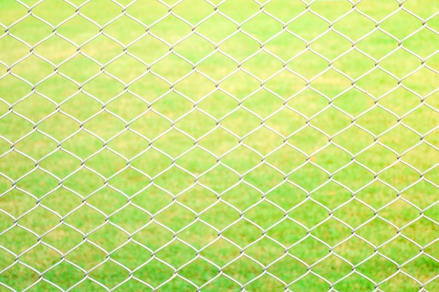 Cage metal net front the lawn