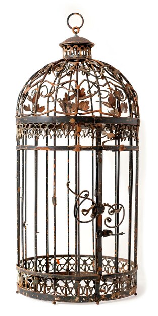 Photo a cage with a bird cage that has a bird on it