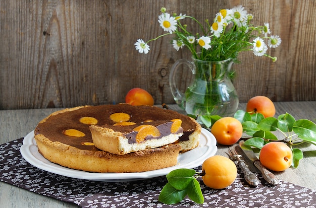 Cake with chocolate and apricots