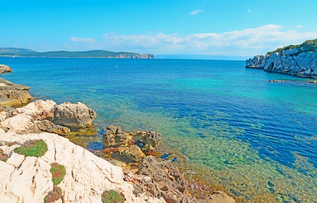 Cala Dragunara on a clear day Sardinia