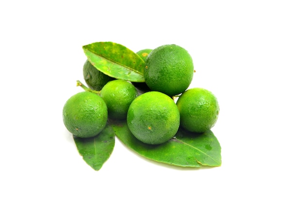 Calamansi on white background