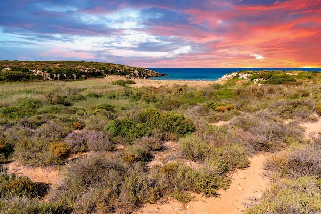 Calamosche beach in Sicily Italy at sunset view panorama