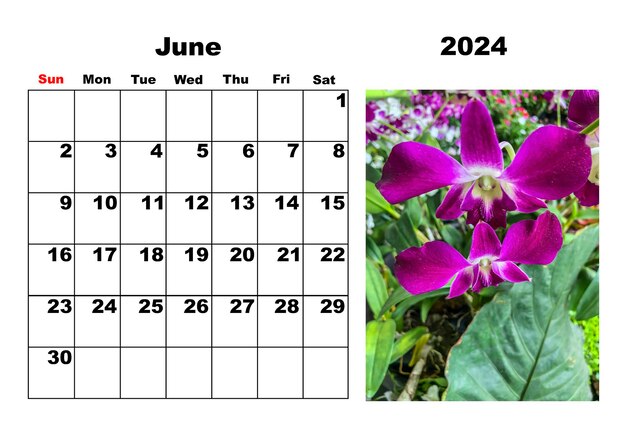 Photo calendar for 2024 june with a photo of tropical flowers