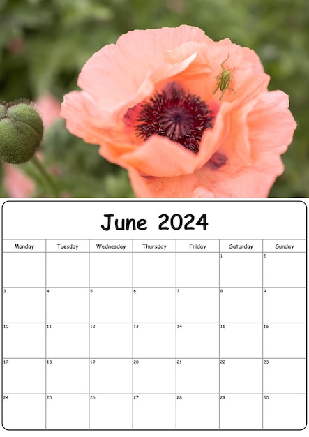 Photo a calendar for june 2024 with poppy flower