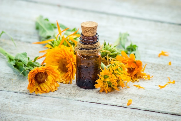 The calendula extract Medicinal plants Selective focus