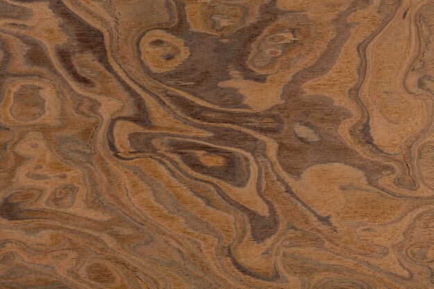 Photo californian walnut burl design texture. natural background closeup. extremely high resolution photo.