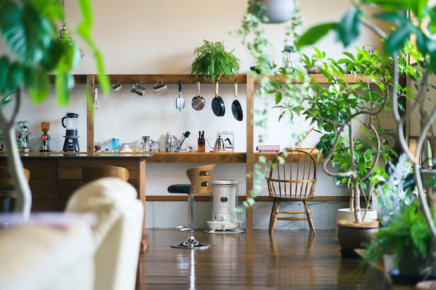 A calm interior and kitchen space with foliage plants