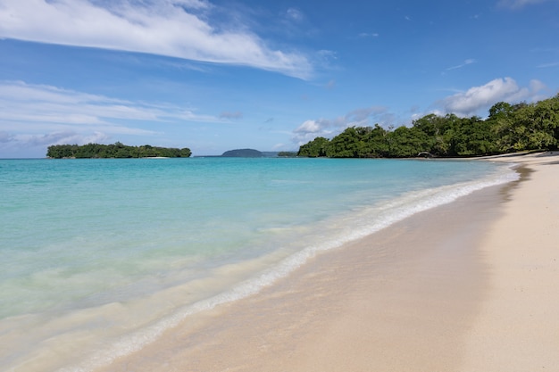 Calm ocean and sandy beach landscape