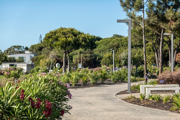 Calm relaxing walking stone path in Quinta do Lago region