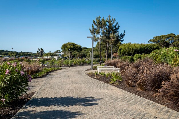 Calm relaxing walking stone path in Quinta do Lago region