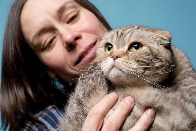 Calm Scottish Fold cat is in the arms of its smiling owner who adores her pet Blue background Closeup