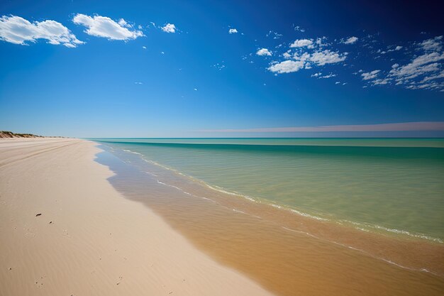 A calm sea and a sandy beach