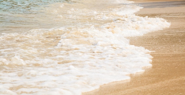 Calm waves on a sandy beach