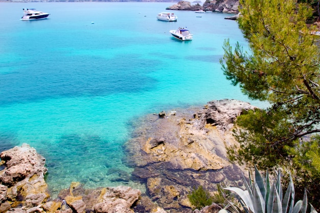 Calvia Cala Fornells turquoise mediterranean in Majorca