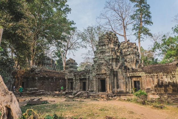 Cambodia Angkor Wat Ta Prohm Temple