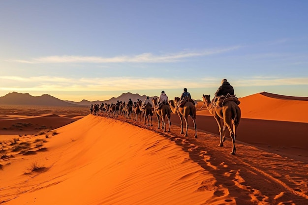 Camel rides at erg chebbi