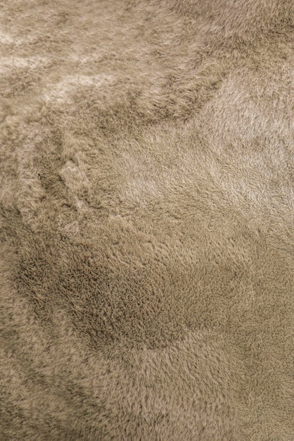 Camel texture Camel skin close up Camel wool for background or texture