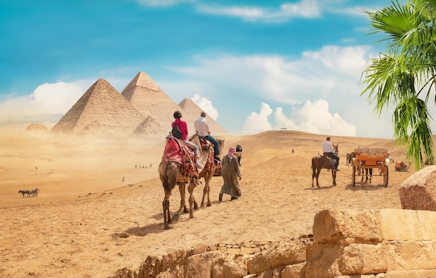 Camels in sandy desert