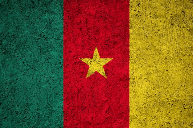 Cameroon flag painted on grunge wall