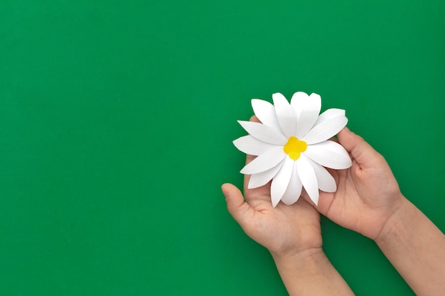 Camomile paper craft in child hands on green background