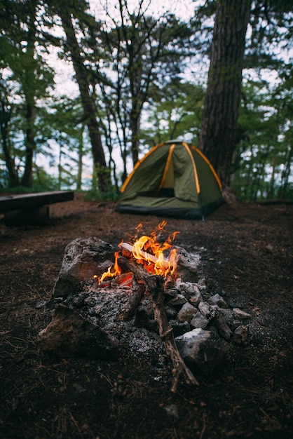 Campfire against tent in forest