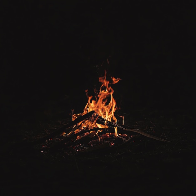 Photo campfire flames in the dark night