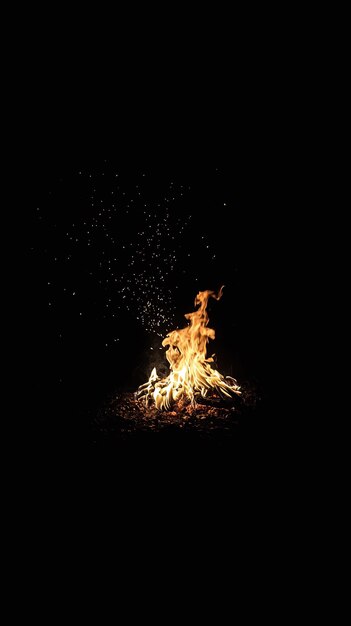 Photo campfire flames in the dark night