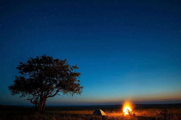 A campfire illuminates the night sky in the middle of a grassy plain