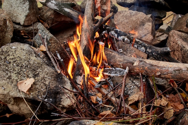 Campfire lit in autumn forest. Dry twigs burning