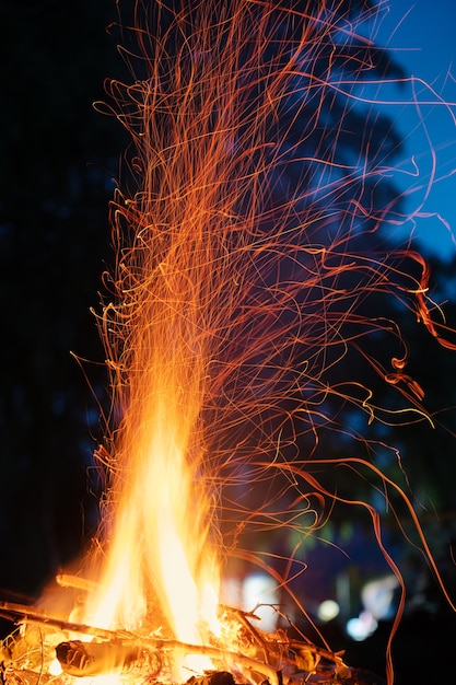 Campfire at a picnic in the forest at night