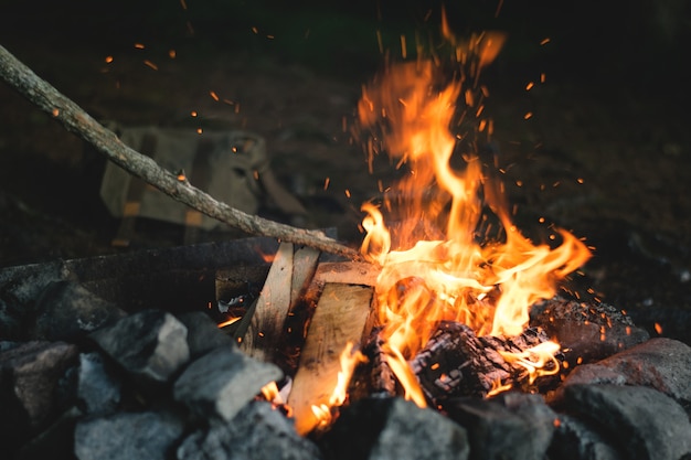 Campfire in the woods in twilight