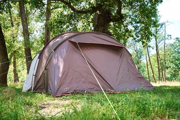 Campimg tent in pine forest on a summer day