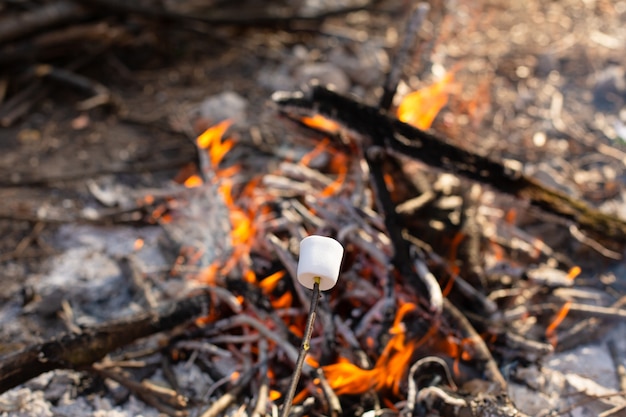 Camping bonfire, frying marshmallows at the stake