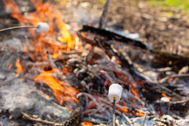 Camping bonfire, frying marshmallows at the stake