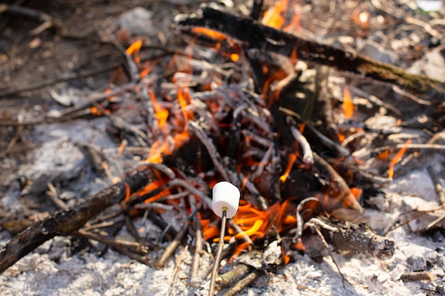 Camping bonfire, frying marshmallows at the stake