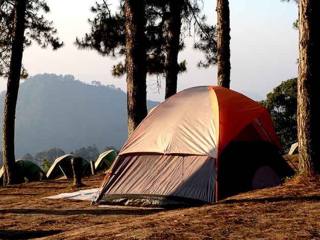 Camping in forest with tent at Doi Angkarng Chiangmai Thailand