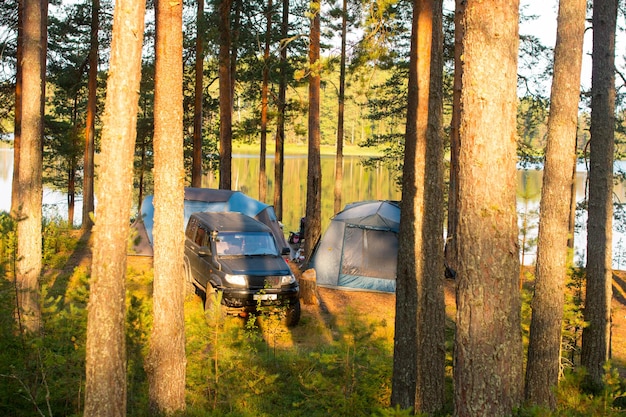 Camping in a pine forest with a tent at dawn Tourist holidays