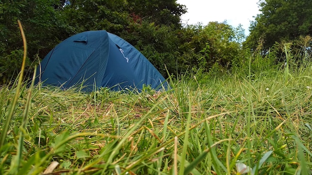 camping tent in the green forest