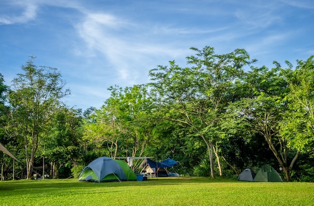 Camping and tent on green grass under the trees with blue sky in nature park