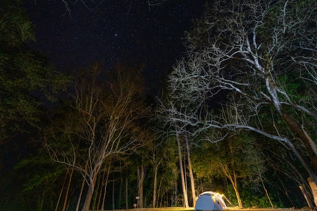 Camping and tent in nature park at night