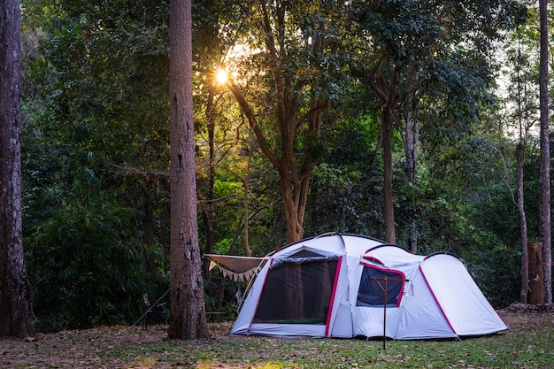 Camping and tent in nature park with sunset