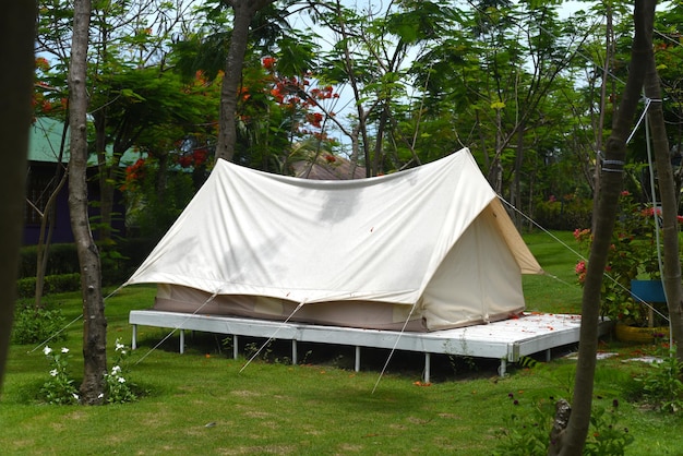 Camping tent in a rain forest of Vietnam