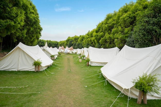 The campsite in the forest is covered with tents