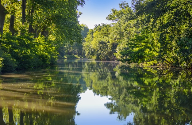 Canal du Midi, sycamore trees reflection in water, Southern France