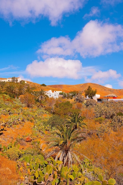 Canary islands Fuerteventura countryside Travel vacation concept stylish wallpaper