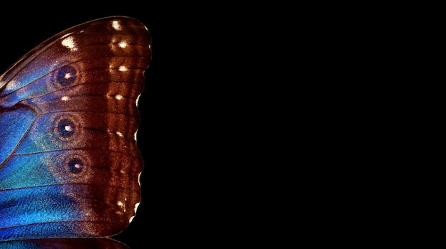 a candle in a dark room with a reflection of a light on it.