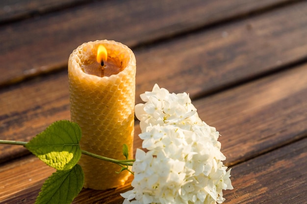 Candle made of beeswax is burning near the hydrangea flower.